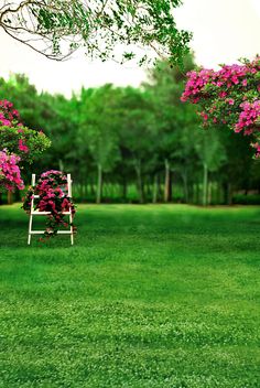 a chair sitting in the middle of a lush green field with pink flowers on it