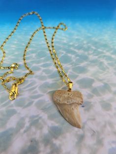 Hand picked prehistoric Mako Shark tooth found in Bakersfield CA made onto an 18k 18 inch gold plated necklace! Tooth size is 1 1/4 inches long! Gold Arrowhead Jewelry Gift, Gold Arrowhead Necklace As A Gift, Gold Arrowhead Necklace Gift, Gold Arrowhead Jewelry For Gift, Gold Arrowhead Necklace For Gift, Gold Untreated Jewelry As A Gift, Mako Shark, 18k Gold Necklace, Shark Tooth