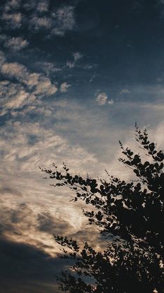 the silhouette of a tree against a cloudy sky