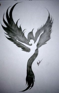 a black and white drawing of a bird's tail with its wings spread out