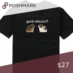 "got class" Holland Lop rabbit lover T shirt Holland Lop Rabbit, Lop Rabbit, Holland Lop, Write A Book, Seize The Day, Key Words, Style Advice, Hair Today