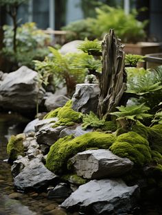 moss growing on rocks and plants in a garden with water running through the center area