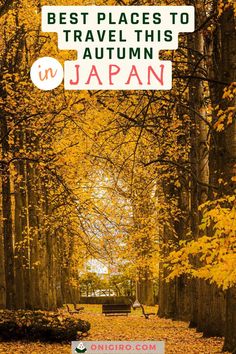 the best places to travel this autumn in japan