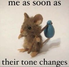 a little mouse holding a blue vase with the caption me as soon as their tone changes