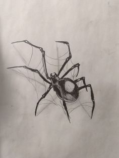 a black and white drawing of a spider