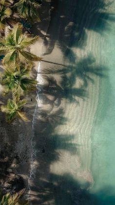 an aerial view of the beach with palm trees and blue water in the foreground