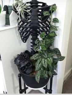 there is a skeleton planter next to a potted plant on the door sill