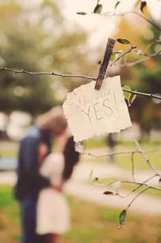 a couple standing next to each other in front of a tree with a sign on it