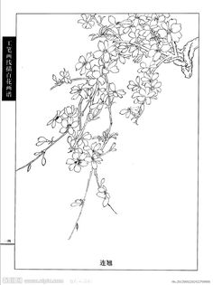 a black and white drawing of flowers on a branch with chinese writing in the background