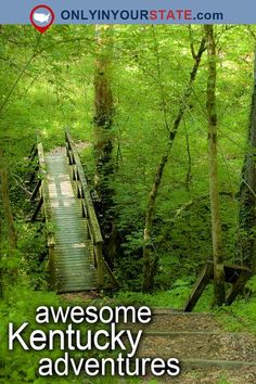 an image of a wooden bridge in the woods with text overlaying it that reads, awesome kentucky adventures