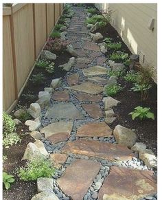 a stone path in the middle of a yard