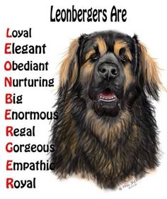 a drawing of a dog's face with the words leonbergs are written below it