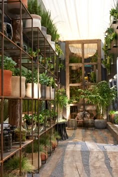 a room filled with lots of potted plants next to a wall full of shelves