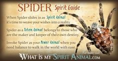 the spider spirit guide is shown in this image