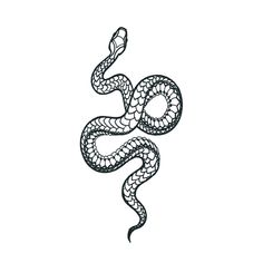 a black and white drawing of a snake