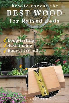 how to choose the best wood for raised beds