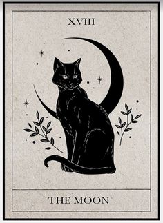 a black cat sitting on top of a moon in the middle of a tarot card