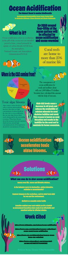 an info poster showing the different types of ocean life