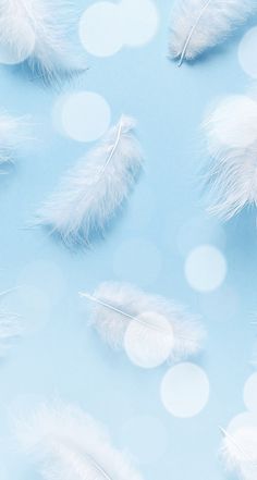 several white feathers floating on a blue surface with bubbles in the background and blurry circles around them