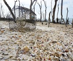 there is a sculpture made out of seashells on the beach with trees in the background