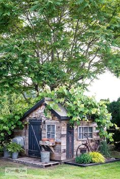 an outhouse in the middle of a yard with trees and plants growing around it