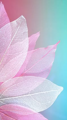 a pink flower with white leaves on it