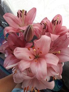 pink flowers are in a glass vase on the table next to someone's lap