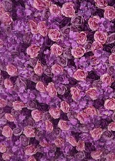 purple flowers are arranged in the shape of a flower arrangement, with pink petals on each side