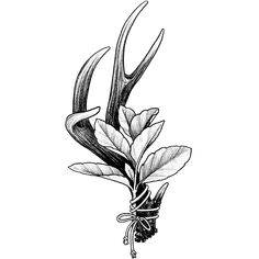 Lasts 1-2 Weeks - Skin-Safe Ingredients - 8000+ Tattoo Designs or Create Your Own Whitetail Deer Tattoo Ideas, Whitetail Deer Antler Tattoo, Antler With Roses Tattoo, Tattoo Ideas Female Hunting, Antler Wrist Tattoo, Female Hunter Tattoo, Floral Deer Antler Tattoo, Antler And Feather Tattoo, Antlers Collarbone Tattoo