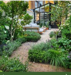 an outdoor garden with lots of plants and trees