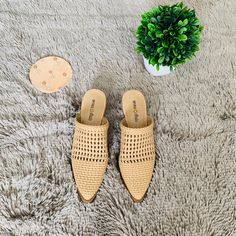 Brand New Mules A Closet Staple Kinda Of Shoe. You Can Dress It Up Or Down, Options Are Endless Trendy Pointed Toe Mules For Beach, Spring Beach Mules With Pointed Toe, Closet Staples, Mule Clogs, Mules Shoes, Clogs, Size 6, Women Shoes, Brand New