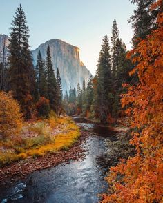 a river running through a forest filled with trees covered in fall foliage and surrounded by tall mountains