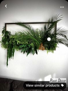 some plants are hanging on the wall