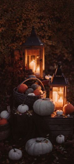 pumpkins and candles are sitting on the ground in front of a lantern, surrounded by leaves