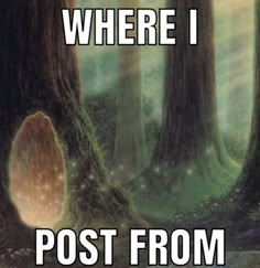 there is a forest with trees and the words where i post from