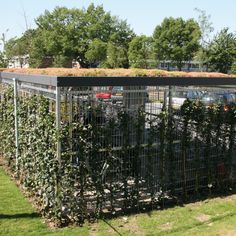 a fence with plants growing on top and cars parked in the lot behind it,