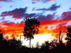 the sun is setting behind some trees in the distance, and it appears to be very colorful