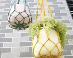 two hanging planters with plants in them