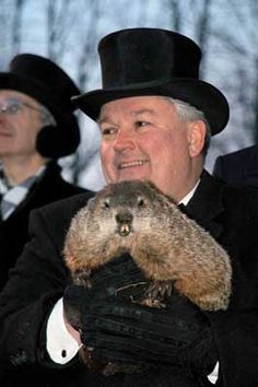 a groundhog in a top hat and suit with the caption wisconsin you've been punked