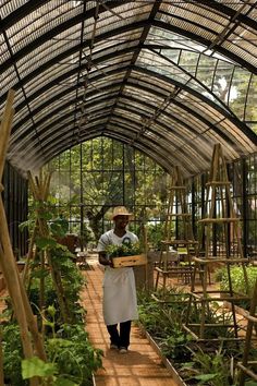 a man holding a box full of plants in a greenhouse