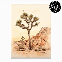 a watercolor painting of a joshua tree in the desert with rocks and boulders behind it