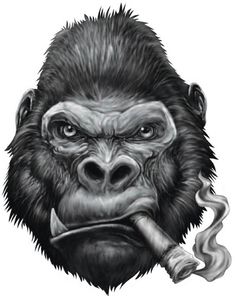 Gorilla Wallpaper, Gorilla Gorilla, Funky Wallpaper, Monkey Tattoos, Monkey Wallpaper, Kunst Tattoos, Tattoo Collection