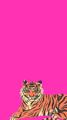 a tiger laying down on top of a pink background