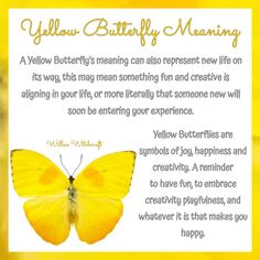 Green Butterfly Spiritual Meaning, Butterfly Color Meaning Spiritual, Yellow Butterfly Spiritual Meaning, Butterfly Spiritual Meaning, Yellow Butterfly Meaning, Yellow Butterfly Tattoo