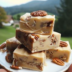 a white plate topped with pieces of pecan fudge