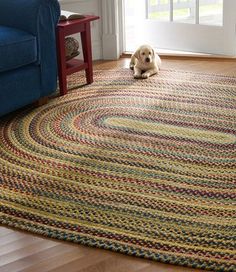 a dog laying on top of a rug in a living room next to a blue couch