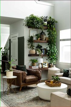 a living room filled with furniture and lots of green plants on the wall above it