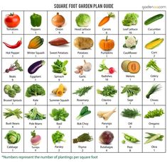 a square foot garden plan with lots of different fruits and vegetables on it, including carrots, broccoli, radishes, zucchini, squash, cucumber, cabbage, snap peas