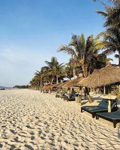 the beach is lined with thatched umbrellas and lounge chairs