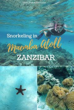 the cover of snorkeling in meerba atoll, zanibar